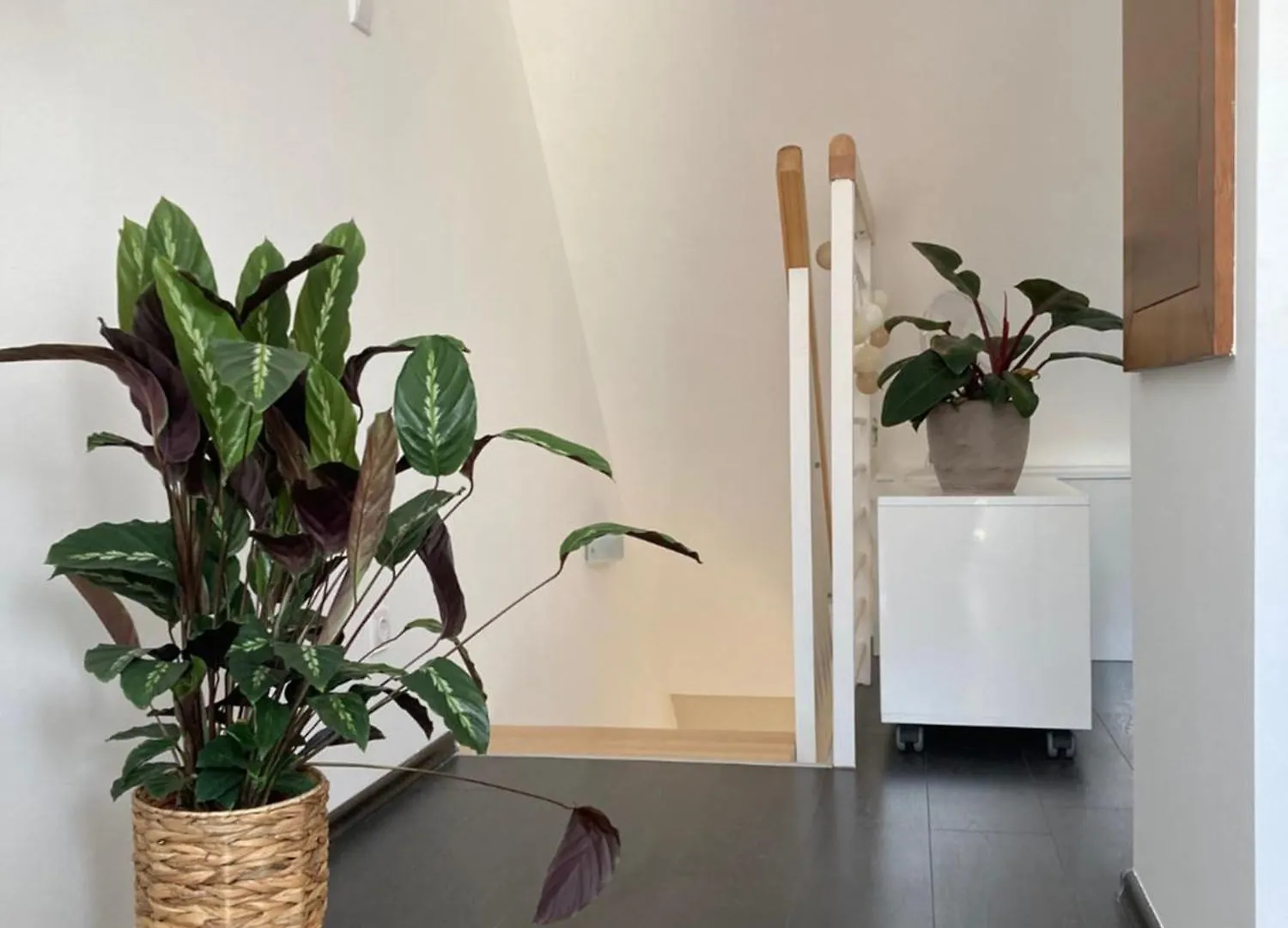 Buda Chill Loft Apartment Budapest 0*,